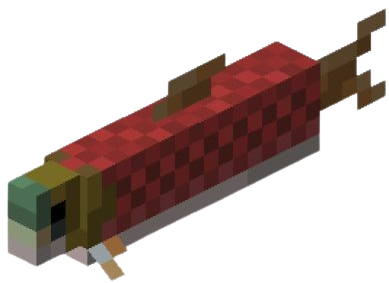 Salmon